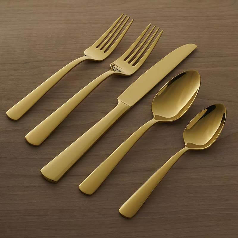 Oneida Aptitude Gold 20 Piece Set, Service for 4 - B1024020AL20