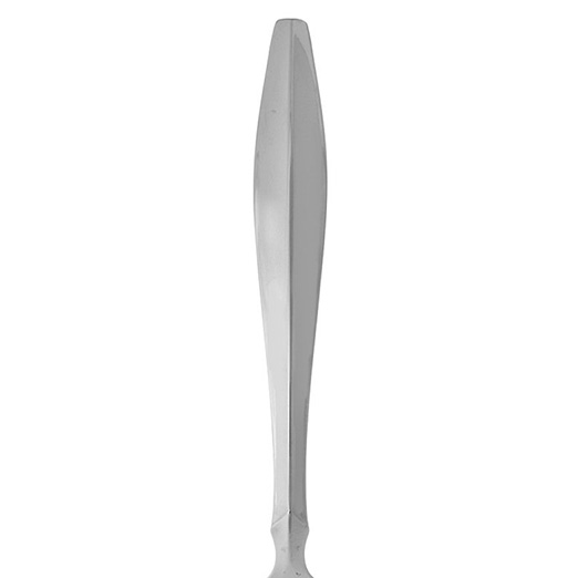 Oneida Fascia Casserole Spoon - ON-FS-28