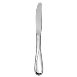 Oneida Flight Dinner Knife 