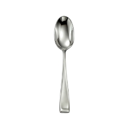Oneida Moda Teaspoon 