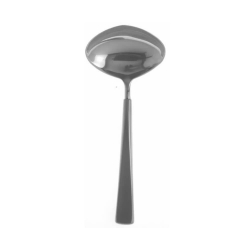 Oneida Satin Saxon Serving Ladle 