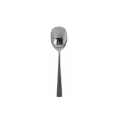 Oneida Satin Saxon Sugar Spoon 
