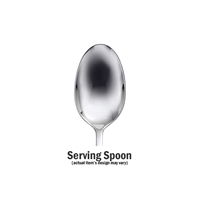 Oneida Satin Logan Square Serving Spoon tablespoon