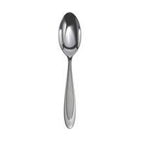 Oneida Aurora Dinner Spoon 